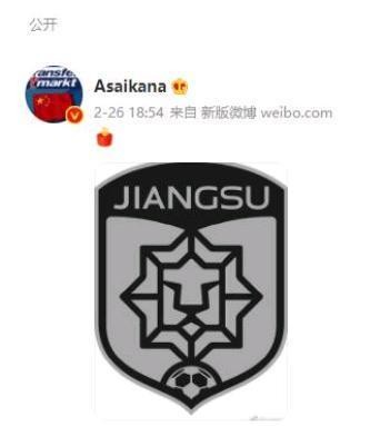 朱艺暗示江苏苏宁解散的命运