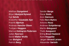 挪威最新一期国家队大名单出炉 哈兰德、厄德高领衔